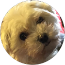 Catherine Hayashi profile picture