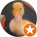 L.S. grahyde profile picture